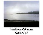 Norther California Scenes Photo Gallery 17