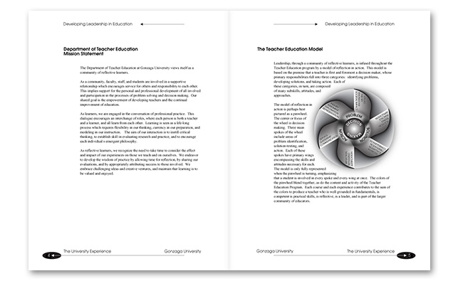 DVD cover and album label