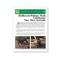 Spring 2013 Athertonian